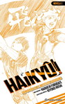 Haikyû!! (Novelas)