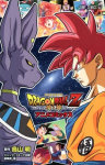 Dragon Ball Z - Anime Comics de Películas · Dragon Ball Z Movie 14 · Edición original japonesa