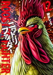 Rooster Fighter nº12